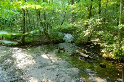 DSC_2862 (Large).JPG